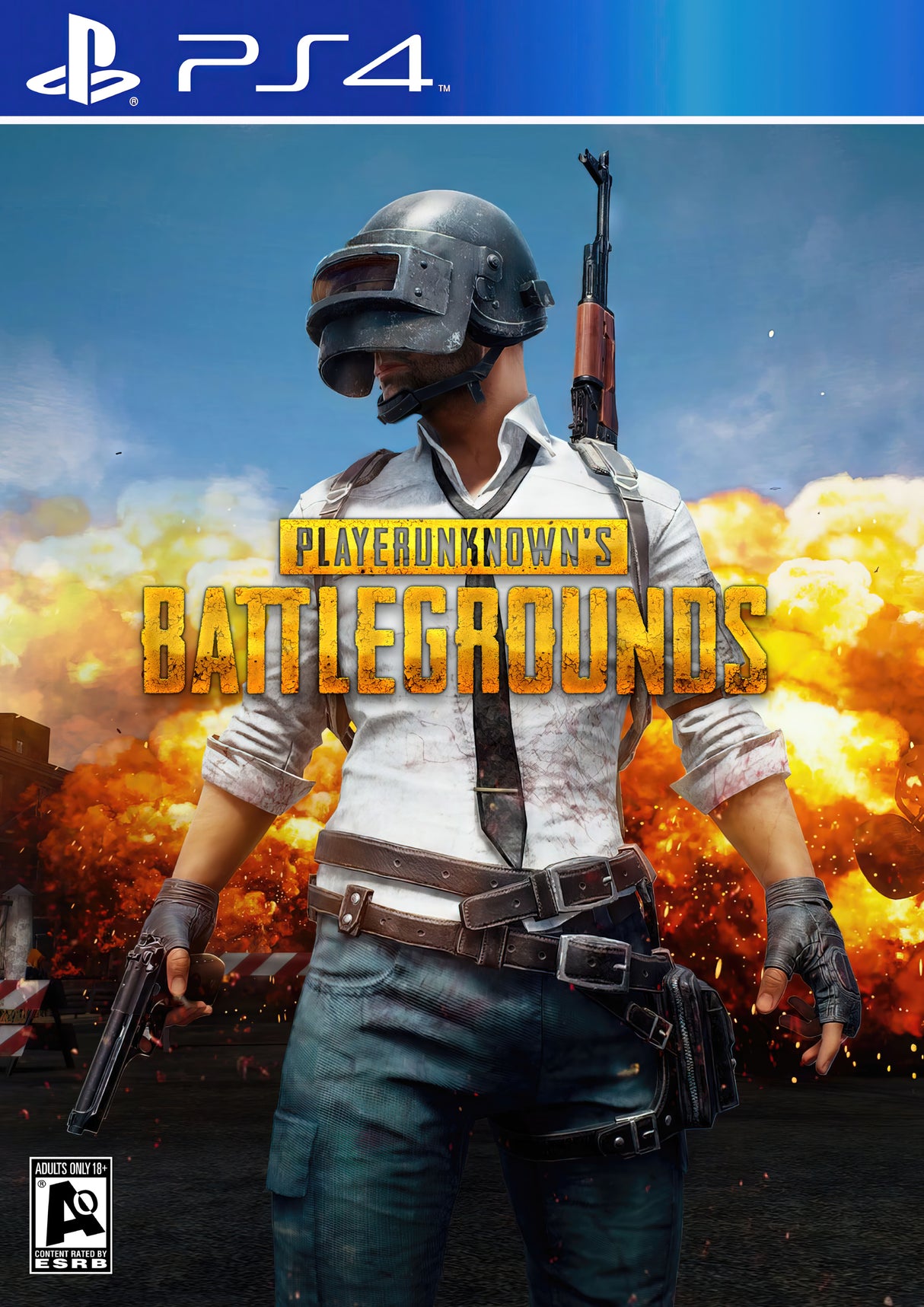 2010s Players Unknown Battlegrounds A2 Size Posters-Pixel Demon