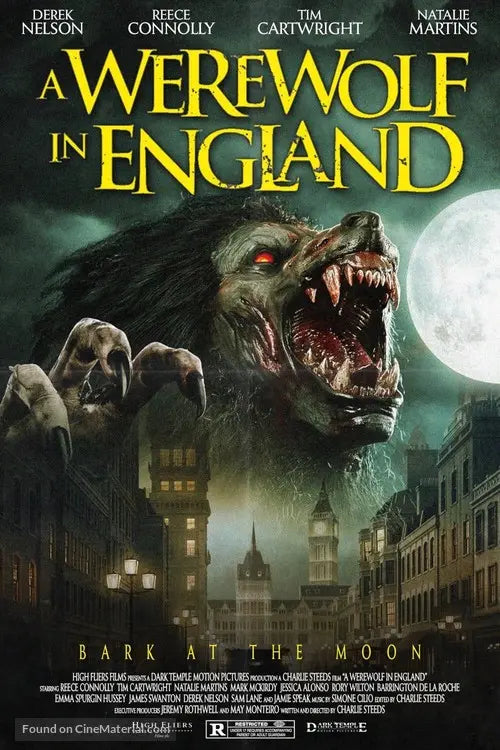 Pixel Demon A Werewolf in England Movie Poster A2 Size