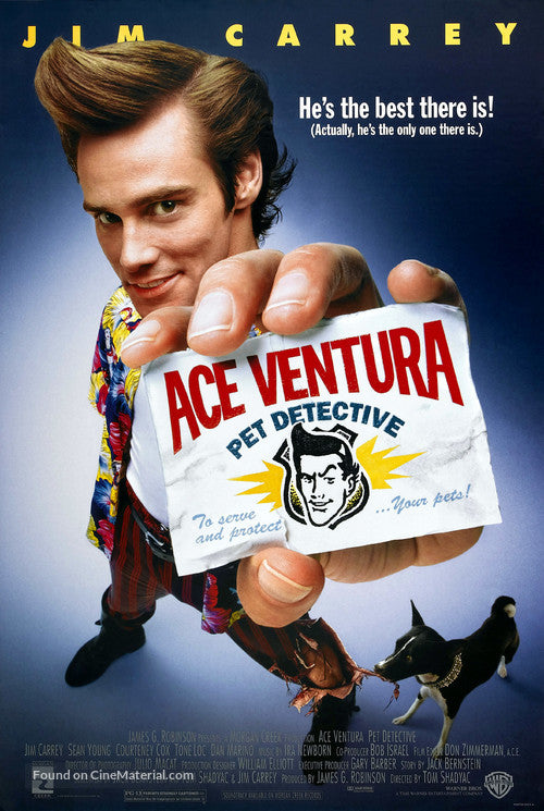 Ace Ventura: Pet Detective A2 Movie Poster-Pixel Demon