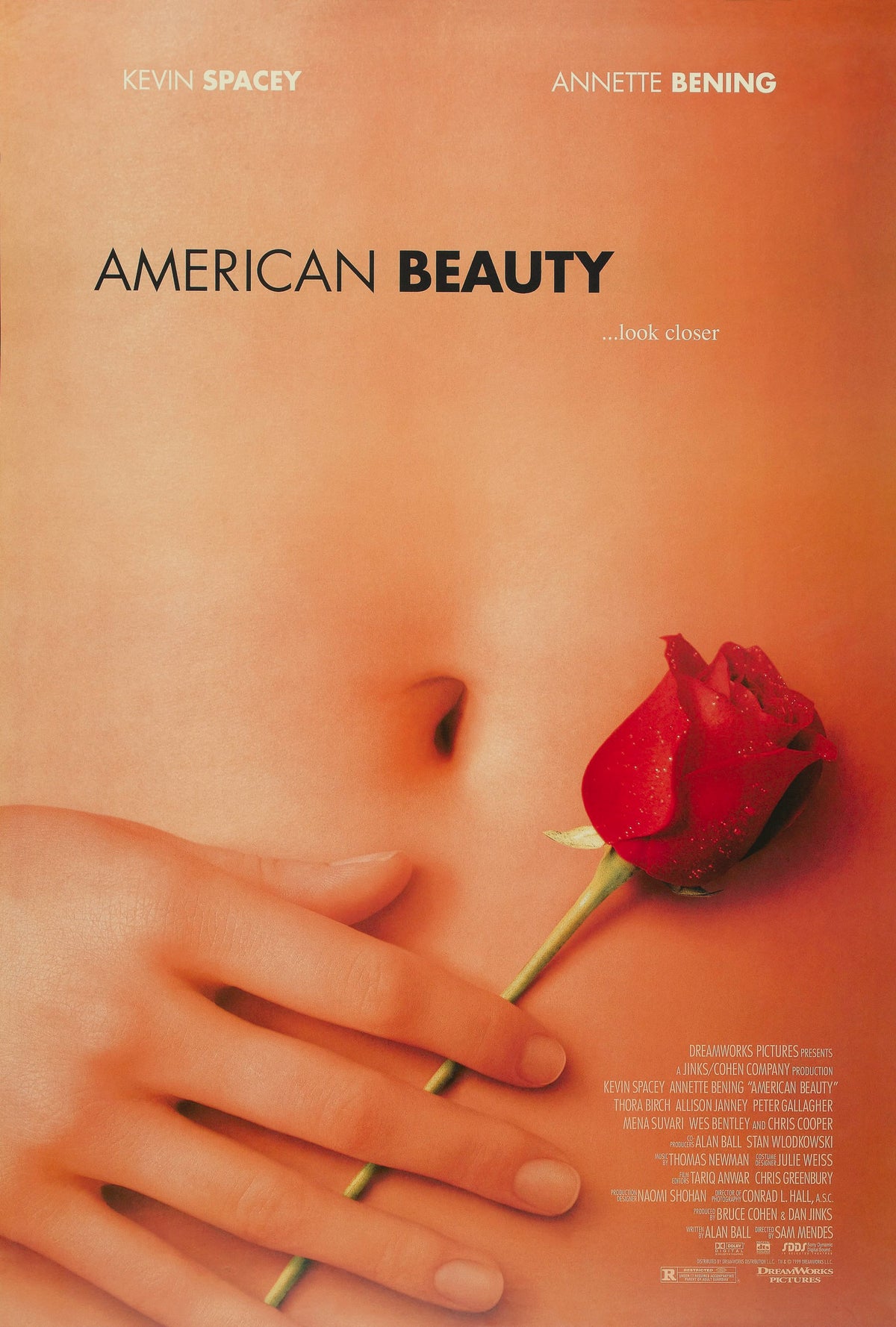 American beauty A2 Size Movie Poster-Pixel Demon