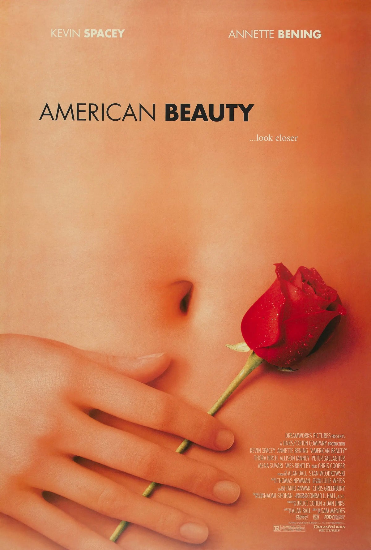 American beauty A2 Size Movie Poster-Pixel Demon