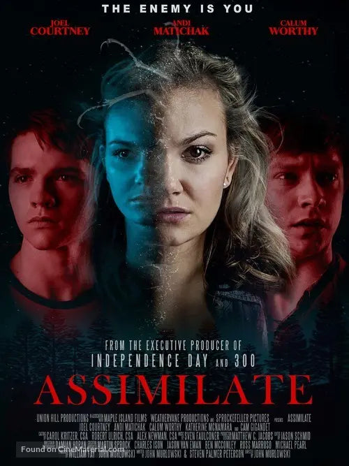 Pixel Demon Assimilate Movie Poster A2 Size