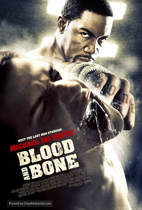 Blood and Bone A2 Movie Poster-Pixel Demon