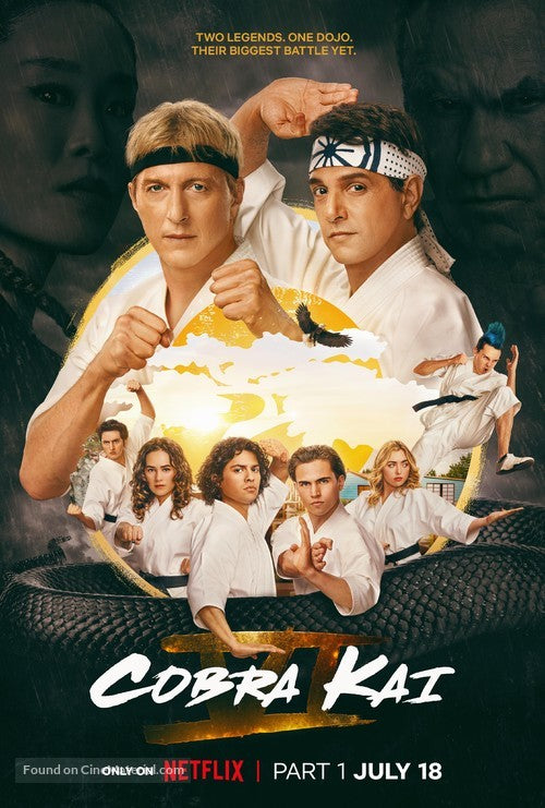 Cobra Kai TV Series Poster A2 Size Version 1