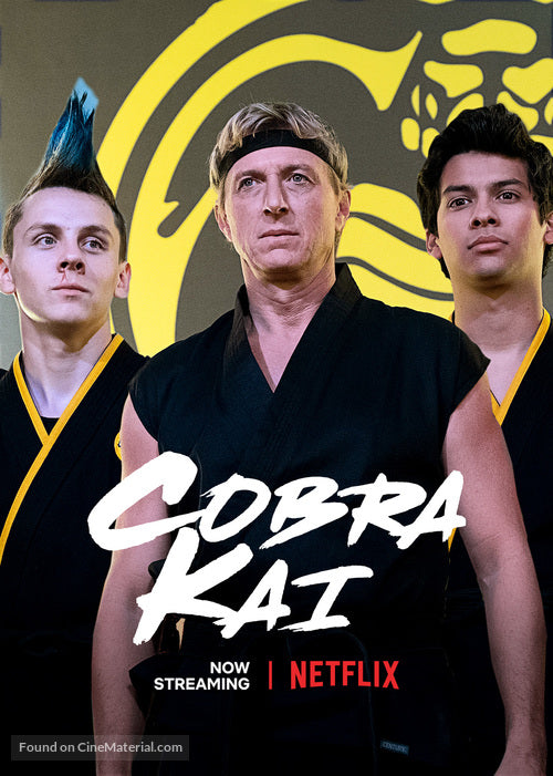 Cobra Kai TV Series Poster A2 Size Version 8