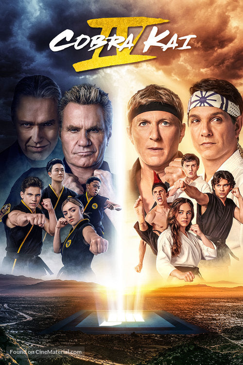 Cobra Kai TV Series Poster A2 Size Version 9
