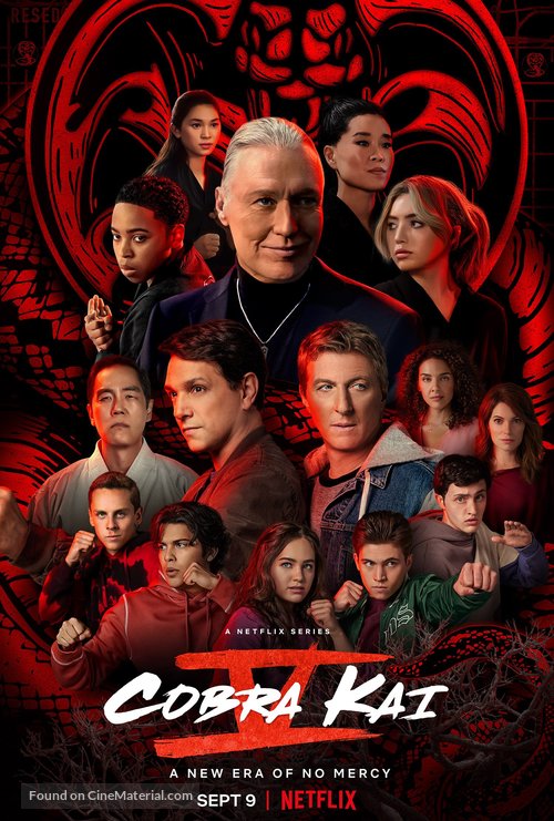 Cobra Kai TV Series Poster A2 Size Version 2