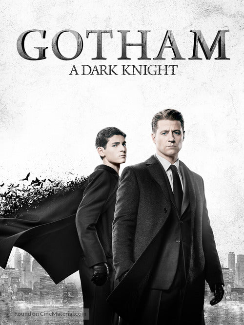 Gotham TV Series Poster A2 Size Version 1