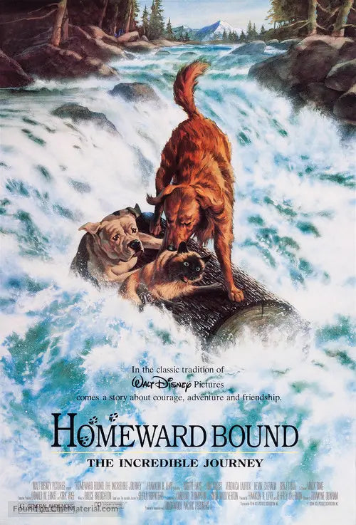 Homeward Bound: The Incredible Journey Cinema Movie Poster A2 Size