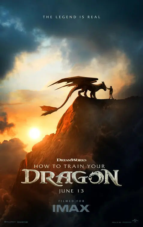 How to Train Your Dragon Movie Poster A2 Size
