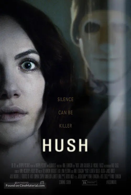 Pixel Demon Hush Movie Poster A2 Size