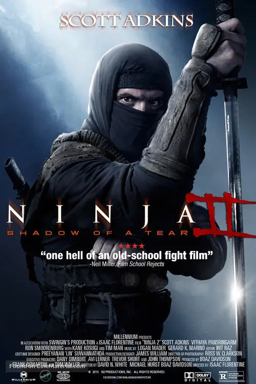 Pixel Demon Ninja: Shadow of a Tear Movie Poster A2 Size