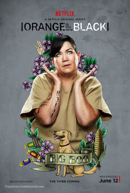 Orange Is The New Black TV Series Poster A2 Size Version 15