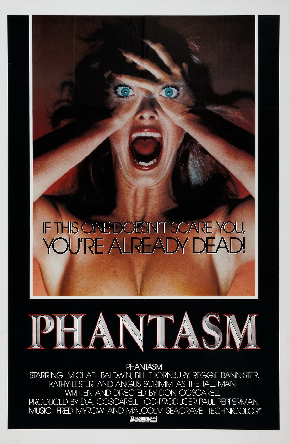 Phantasm A2 Size Movie Poster-Pixel Demon