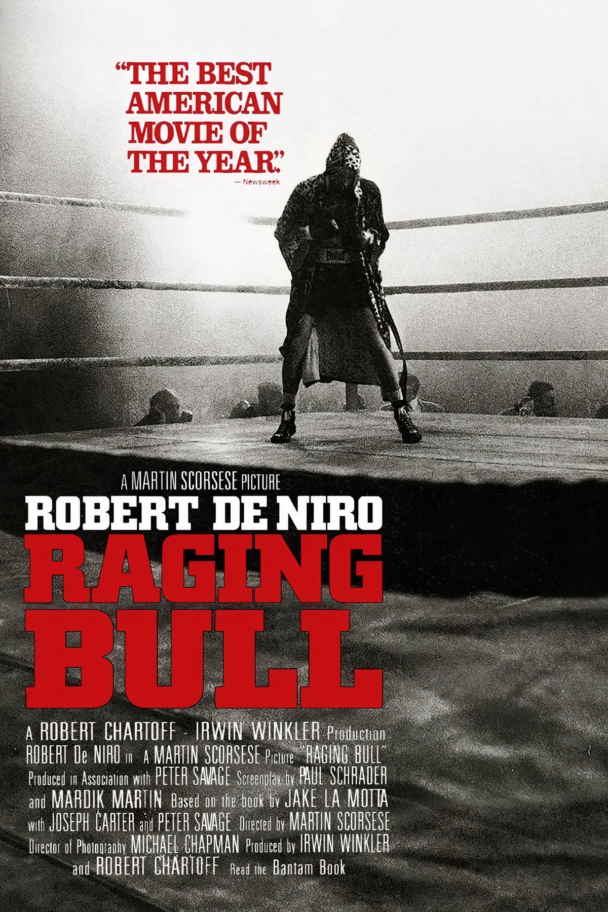Raging bull A2 Size Movie Poster-Pixel Demon