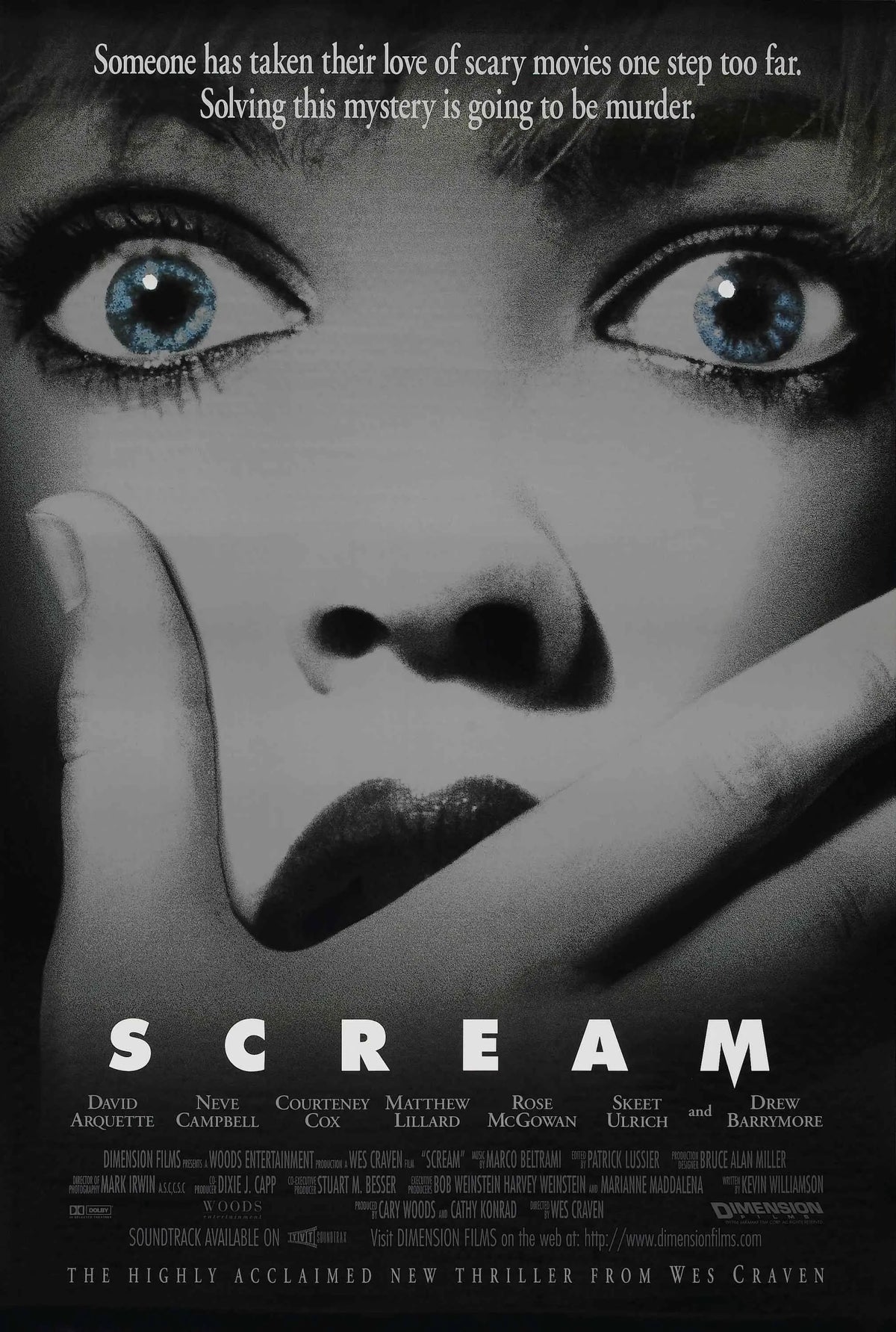 Scream A2 Size Movie Poster-Pixel Demon