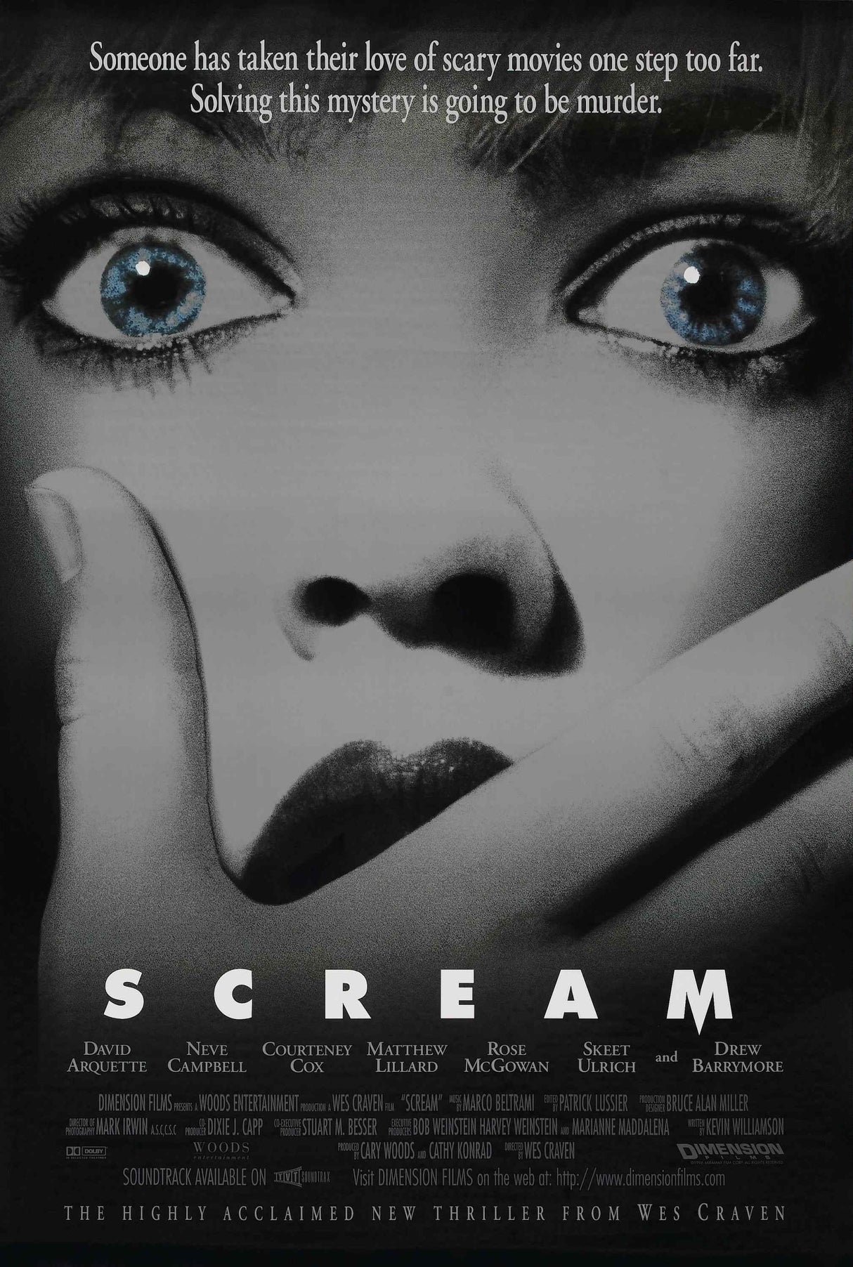 Scream A2 Size Movie Poster-Pixel Demon
