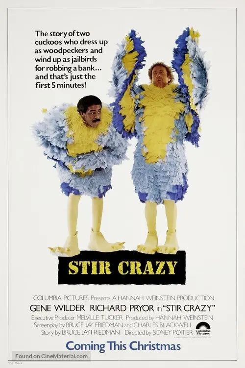 Pixel Demon Stir Crazy Movie Poster A2 Size