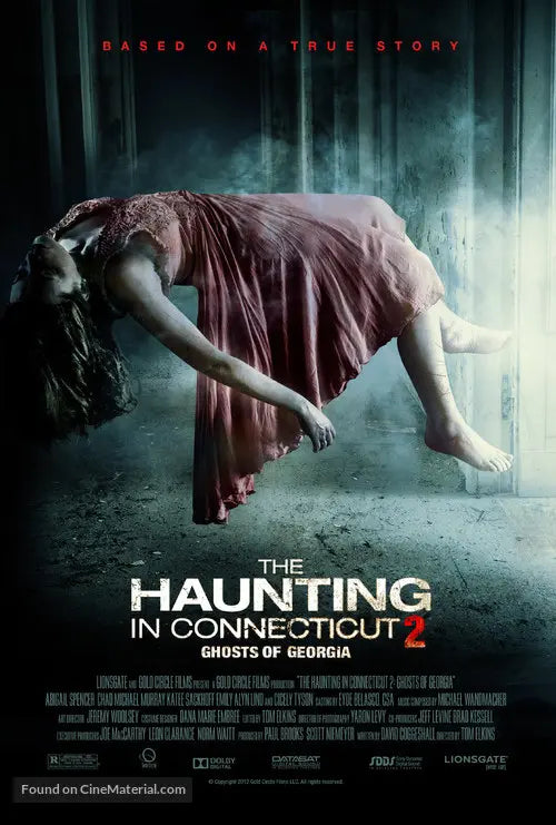Pixel Demon The Haunting in Connecticut 2: Ghosts of Georgia Movie Poster A2 Size