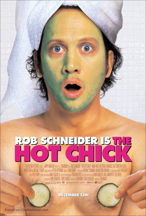 The Hot Chick A2 Movie Poster-Pixel Demon