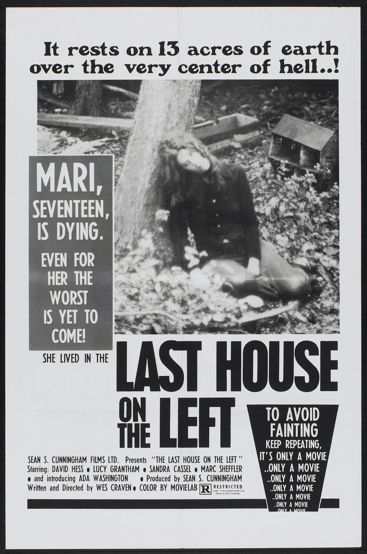 The Last House On The Left A2 Size Movie Poster-Pixel Demon