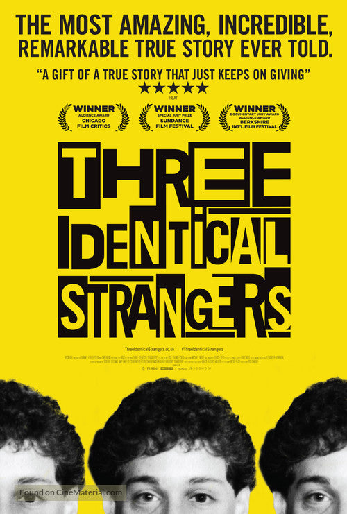 Pixel Demon Three Identical Strangers Movie Poster A2 Size