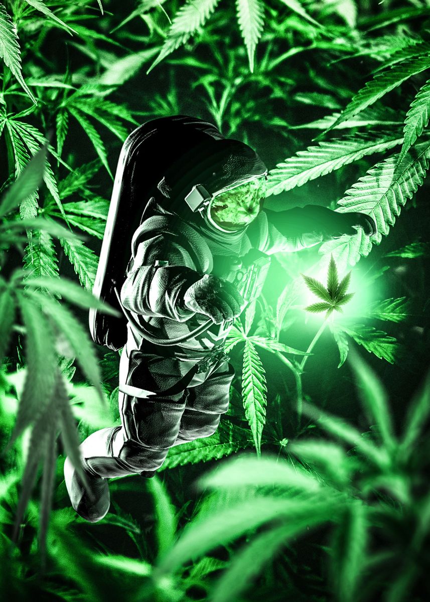 Cannabis Stoner Wall Art Design 34 A2 Size Posters-Pixel Demon