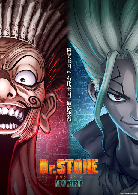 Dr Stone New World Anime A2 Size Posters-Pixel Demon