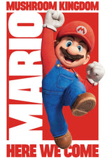 Super Mario Bros. Movie Style 12 A2 Size Movie Poster-Pixel Demon