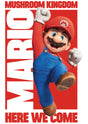 Super Mario Bros. Movie Style 12 A2 Size Movie Poster-Pixel Demon