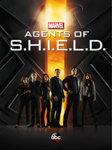 Agents Of Shield A2 Size Posters-Pixel Demon