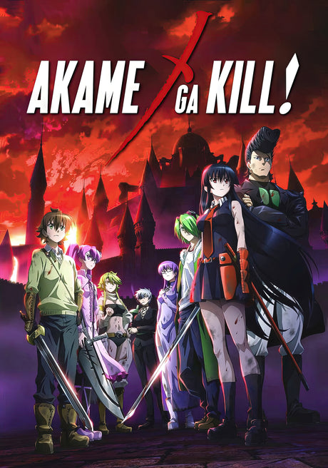 Anime Akame Ga Kill A2 Size Posters-Pixel Demon