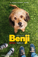 Benji Cinema Movie Poster A2 Size