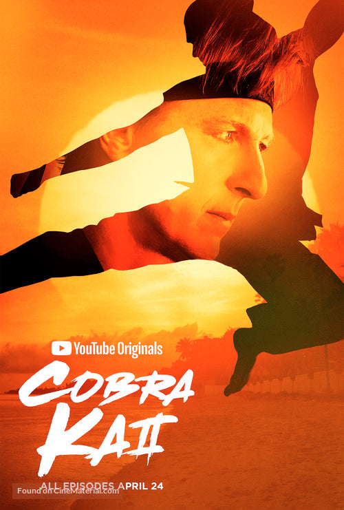 Cobra Kai TV Series Poster A2 Size Version 6