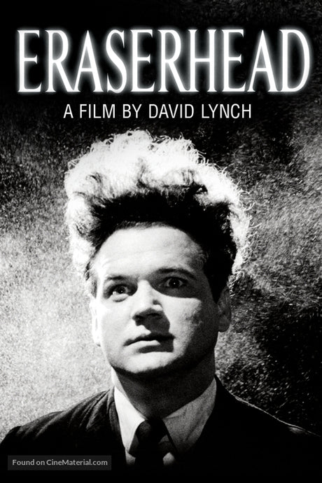 Pixel Demon Eraserhead Movie Poster A2 Size