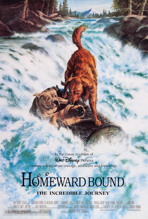 Homeward Bound: The Incredible Journey Cinema Movie Poster A2 Size