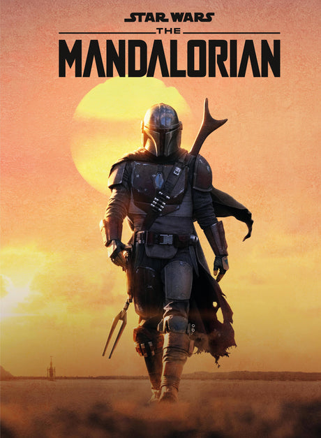 The Mandalorian Design 16 A2 Size Posters-Pixel Demon