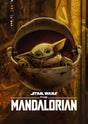 The Mandalorian Design 22 A2 Size Posters-Pixel Demon
