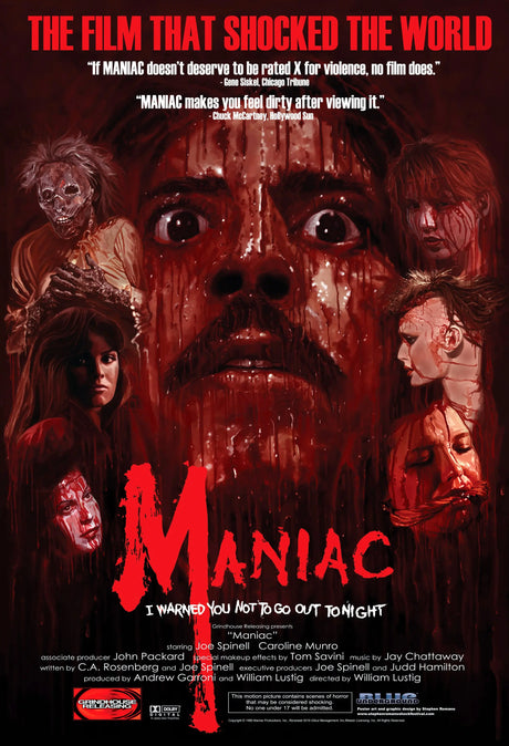 Maniac A2 Size Movie Poster-Pixel Demon