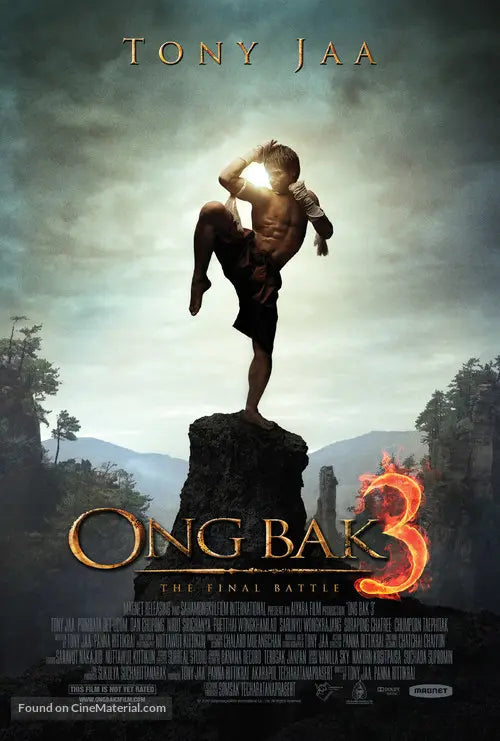 Ong Bak 3 Cinema Movie Poster A2 Size
