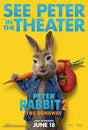 Peter Rabbit 2: The Runaway A2 Movie Poster-Pixel Demon