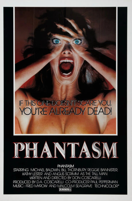 Phantasm A2 Size Movie Poster-Pixel Demon