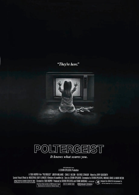 Poltergeist A2 Size Movie Poster-Pixel Demon