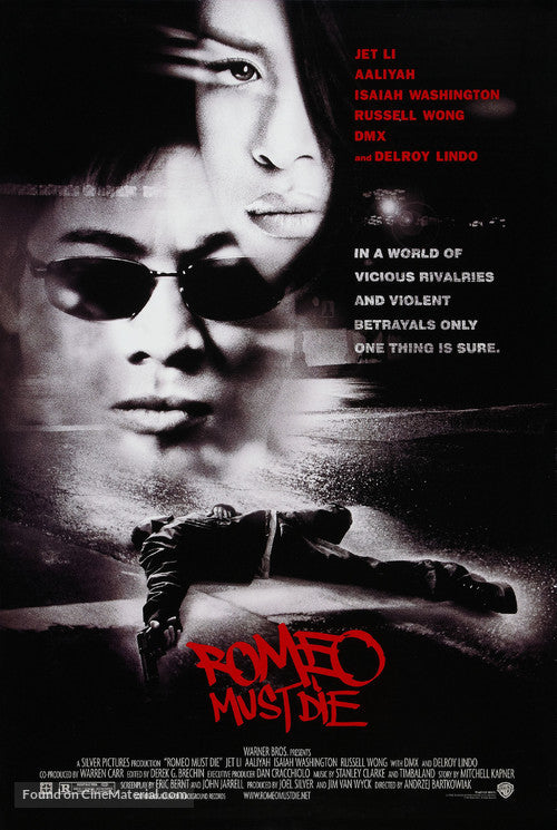 Romeo Must Die A2 Movie Poster-Pixel Demon