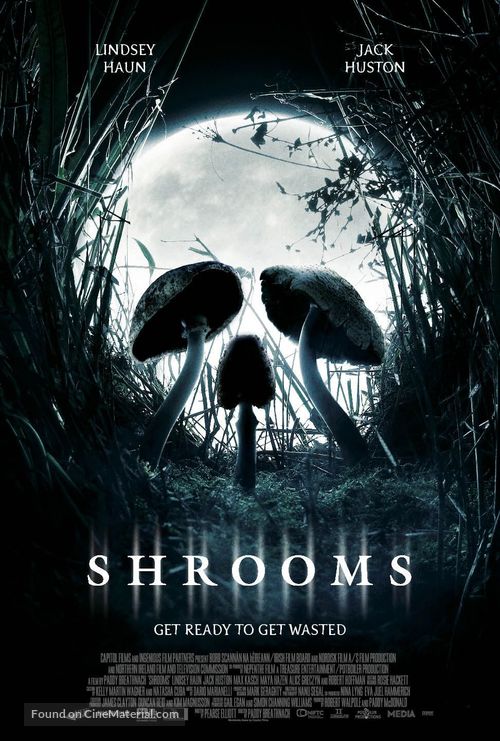 Pixel Demon Shrooms Movie Poster A2 Size