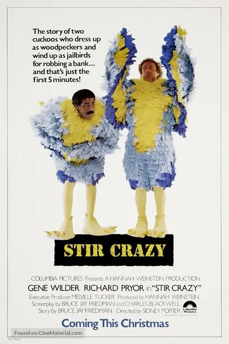 Pixel Demon Stir Crazy Movie Poster A2 Size