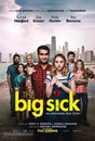 Pixel Demon The Big Sick Movie Poster A2 Size