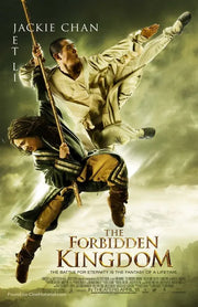 The Forbidden Kingdom A2 Movie Poster-Pixel Demon