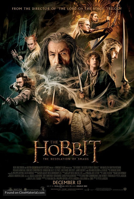 The Hobbit: The Desolation of Smaug A2 Movie Poster-Pixel Demon
