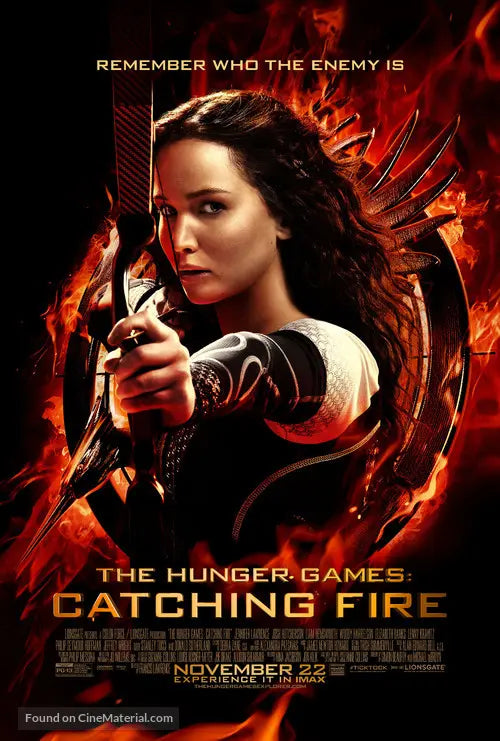 The Hunger Games: Catching Fire A2 Movie Poster-Pixel Demon